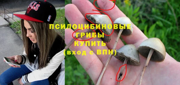 МДПВ Зерноград