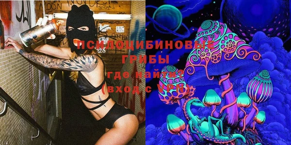 гашишное масло Заводоуковск
